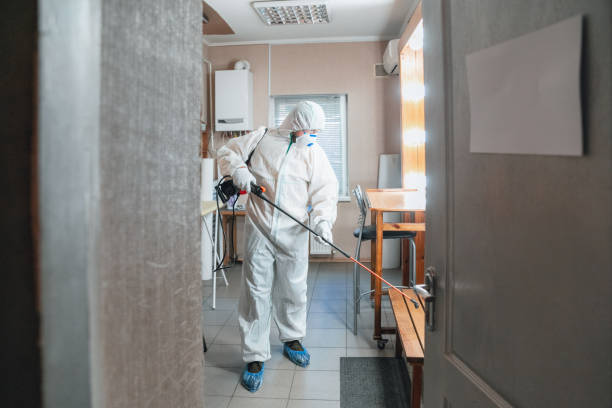 Best Biohazard Mold Removal  in Holden Heights, FL