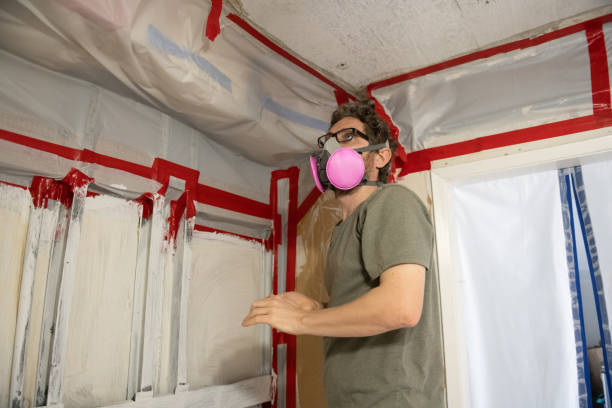 Best Crawl Space Mold Remediation  in Holden Heights, FL