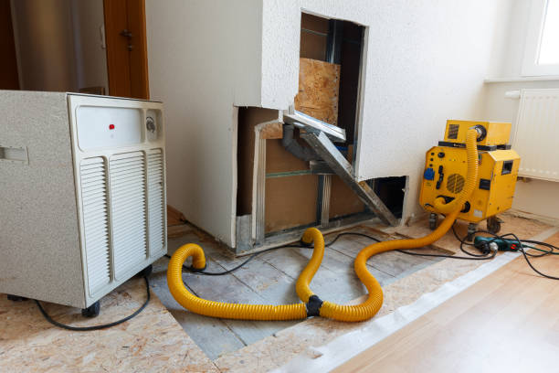 Best Water Damage & Mold Remediation  in Holden Heights, FL