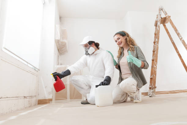 Best Attic Mold Removal  in Holden Heights, FL