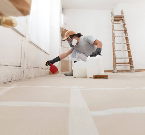 Reliable Holden Heights, FL Mold Removal Solutions